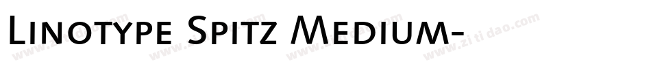 Linotype Spitz Medium字体转换
